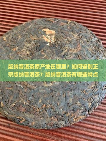 版纳普洱茶原产地在哪里？如何鉴别正宗版纳普洱茶？版纳普洱茶有哪些特点与品种？
