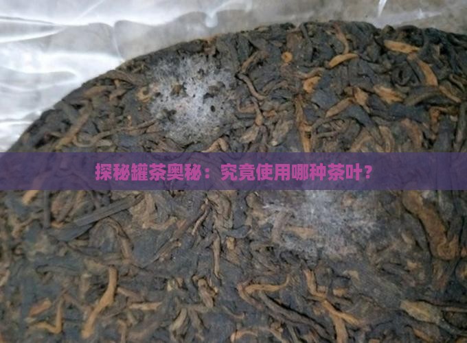 探秘罐茶奥秘：究竟使用哪种茶叶？