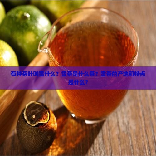 有种茶叶叫雪什么？雪茶是什么茶？雪茶的产地和特点是什么？