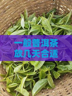 一般普洱茶放几天合适，存放多久适宜饮用？