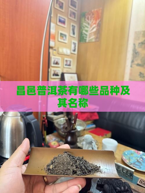 昌邑普洱茶有哪些品种及其名称