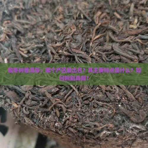 酸枣树普洱茶：哪个产区最出名？其主要特点是什么？如何辨别真假？