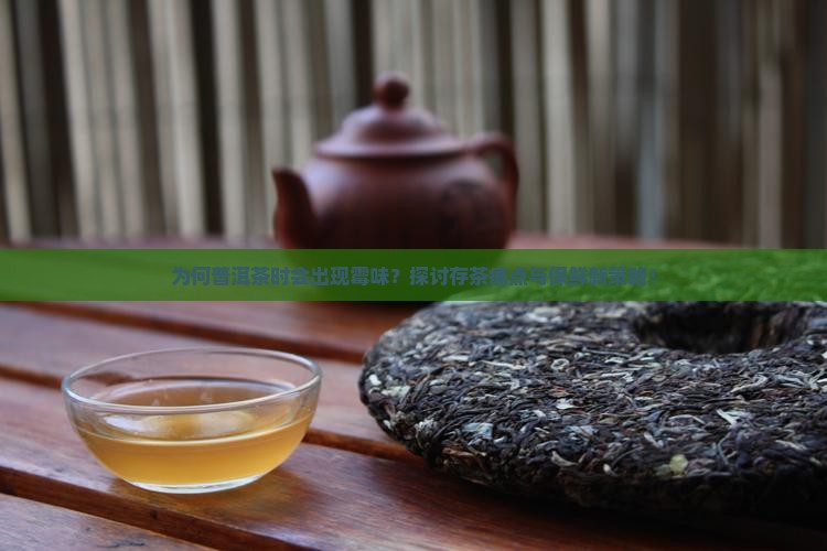 为何普洱茶时会出现霉味？探讨存茶痛点与保鲜新策略！