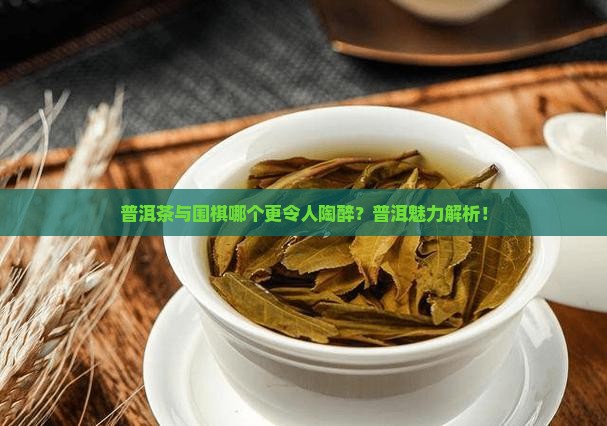 普洱茶与围棋哪个更令人陶醉？普洱魅力解析！