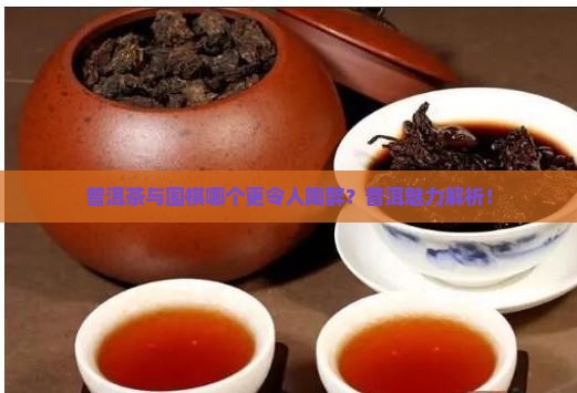普洱茶与围棋哪个更令人陶醉？普洱魅力解析！