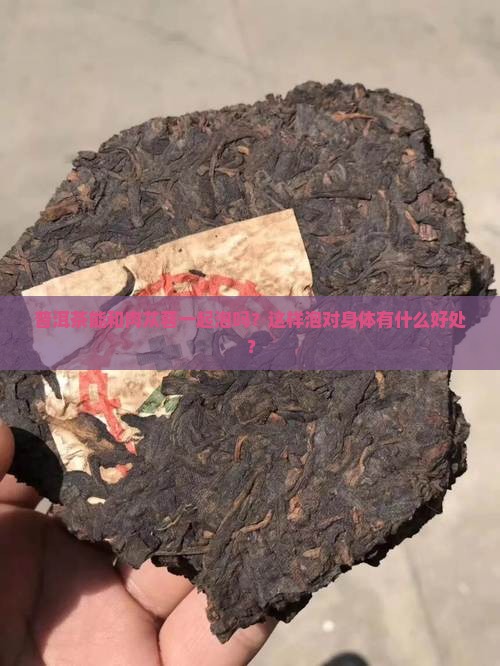 普洱茶能和肉苁蓉一起泡吗？这样泡对身体有什么好处？