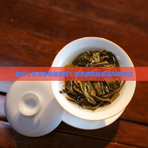 如何让普洱茶快速发霉？普洱茶陈化误区与新风口
