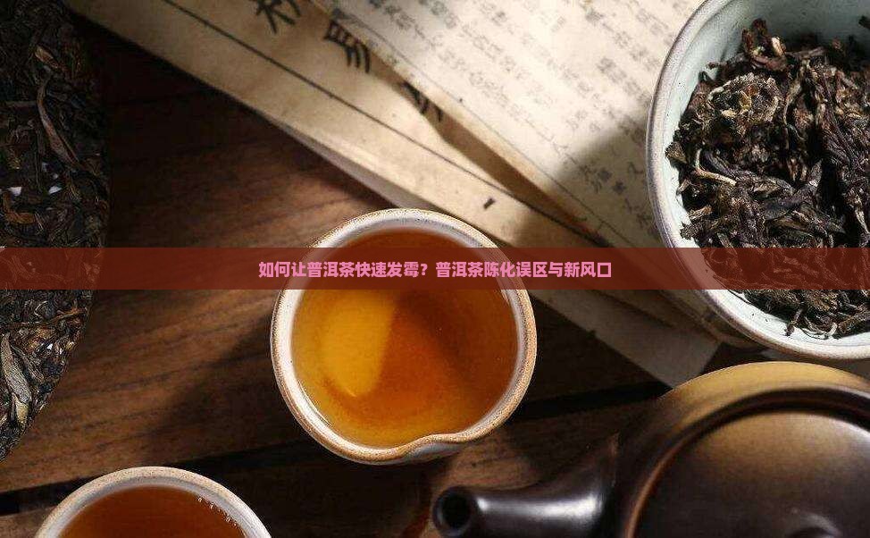 如何让普洱茶快速发霉？普洱茶陈化误区与新风口