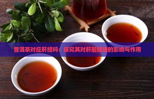普洱茶对应肝经吗：探究其对肝脏健康的影响与作用