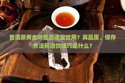 普洱茶黄金叶是否适宜饮用？其品质、保存方法和泡饮技巧是什么？