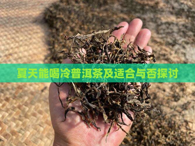 夏天能喝冷普洱茶及适合与否探讨