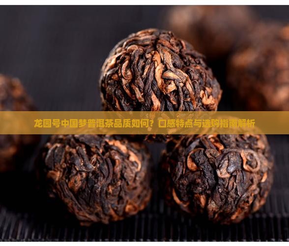 龙园号中国梦普洱茶品质如何？口感特点与选购指南解析