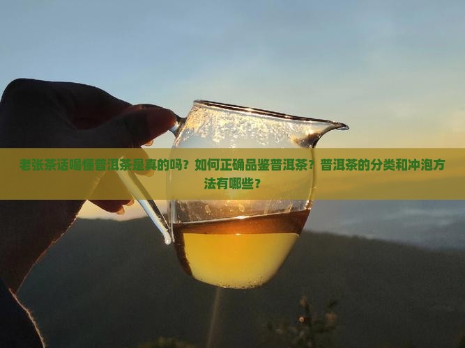 老张茶话喝懂普洱茶是真的吗？如何正确品鉴普洱茶？普洱茶的分类和冲泡方法有哪些？