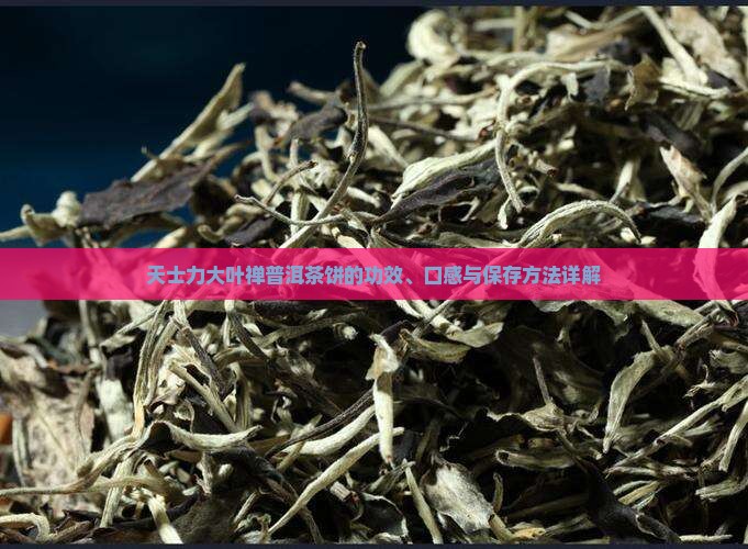天士力大叶禅普洱茶饼的功效、口感与保存方法详解