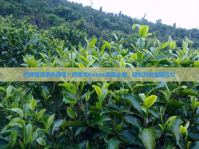柠檬普洱茶玫瑰花？熬夜党Detox养颜必备，轻松对抗加班压力