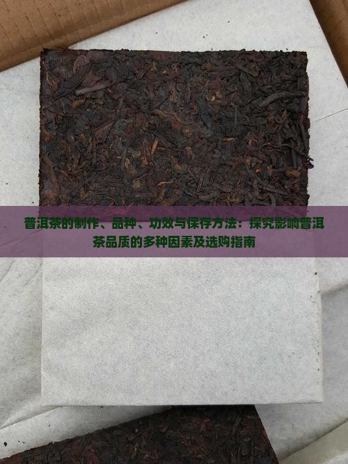 普洱茶的制作、品种、功效与保存方法：探究影响普洱茶品质的多种因素及选购指南