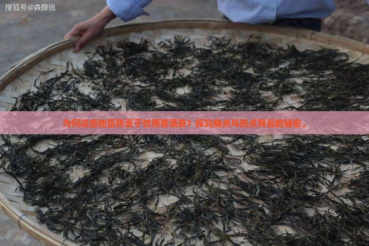 为何这些地区热衷于饮用普洱茶？探究痛点与热点背后的秘密。