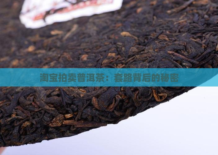 淘宝拍卖普洱茶：套路背后的秘密