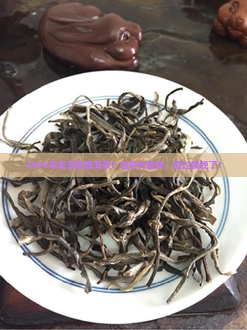 2005年龙润茶普洱茶？老茶升值快，错过就晚了！