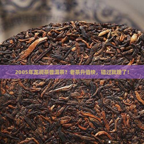 2005年龙润茶普洱茶？老茶升值快，错过就晚了！