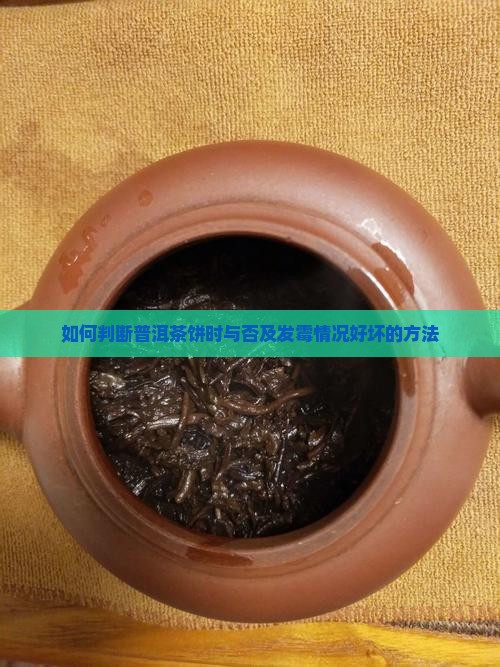 如何判断普洱茶饼时与否及发霉情况好坏的方法
