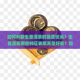 如何判断生普洱茶的品质优劣？生普洱茶哪些特征表明其是好茶？如何鉴别生普洱茶的好坏与存放年限的关系？