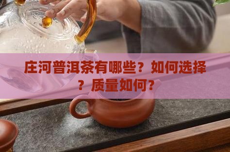 庄河普洱茶有哪些？如何选择？质量如何？