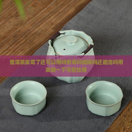 普洱茶发霉了还可以用吗有毒吗能喝吗还能泡吗用来刷一下可否饮用