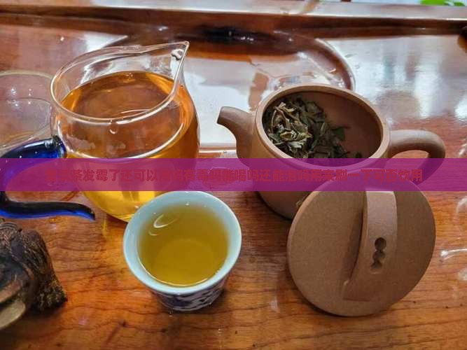 普洱茶发霉了还可以用吗有毒吗能喝吗还能泡吗用来刷一下可否饮用