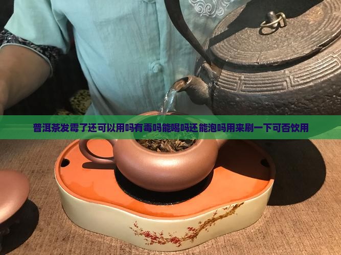 普洱茶发霉了还可以用吗有毒吗能喝吗还能泡吗用来刷一下可否饮用