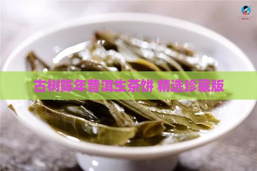 古树陈年普洱生茶饼 精选珍藏版