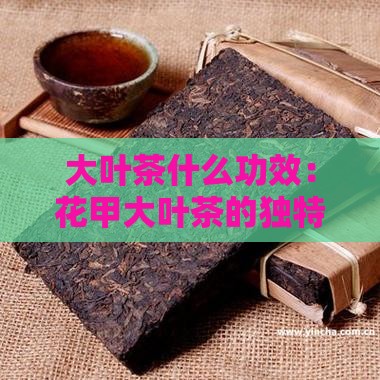大叶茶什么功效：花甲大叶茶的独特之处