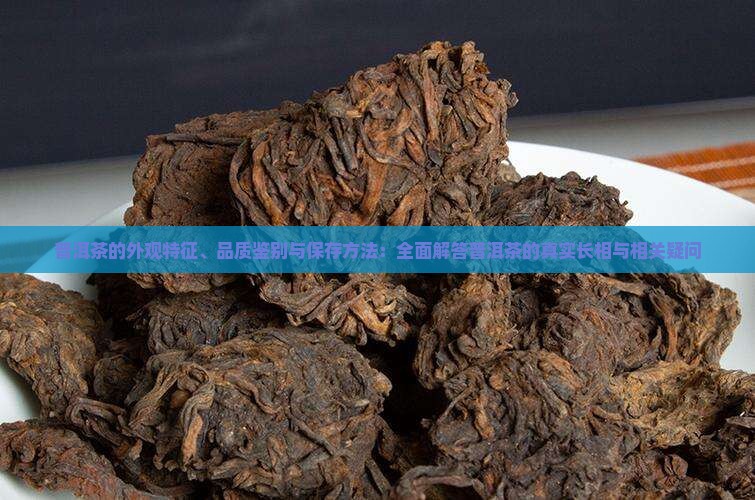 普洱茶的外观特征、品质鉴别与保存方法：全面解答普洱茶的真实长相与相关疑问