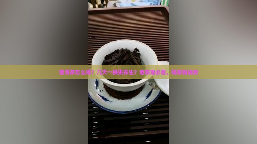 普洱茶怎么喝？几天一换更养生？老茶鬼必看，喝茶新姿势