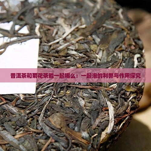 普洱茶和菊花茶能一起喝么：一起泡的利弊与作用探究