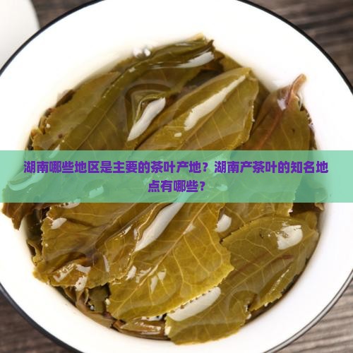 湖南哪些地区是主要的茶叶产地？湖南产茶叶的知名地点有哪些？