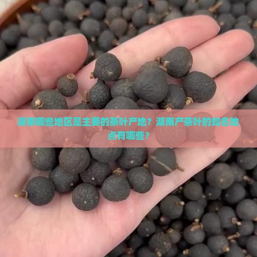 湖南哪些地区是主要的茶叶产地？湖南产茶叶的知名地点有哪些？