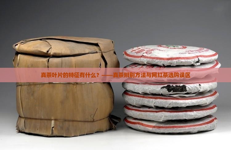 真茶叶片的特征有什么？——真茶辨别方法与网红茶选购误区
