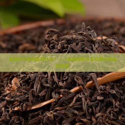 真茶叶片的特征有什么？——真茶辨别方法与网红茶选购误区