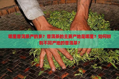 哪里普洱茶产的多？普洱茶的主要产地是哪里？如何辨别不同产地的普洱茶？