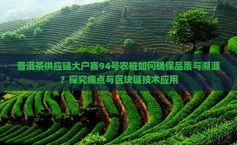 普洱茶供应链大户赛94号农桩如何确保品质与溯源？探究痛点与区块链技术应用
