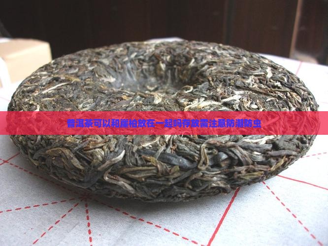 普洱茶可以和崖柏放在一起吗存放需注意防潮防虫