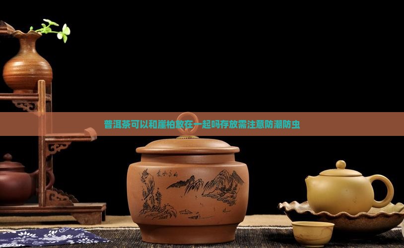 普洱茶可以和崖柏放在一起吗存放需注意防潮防虫