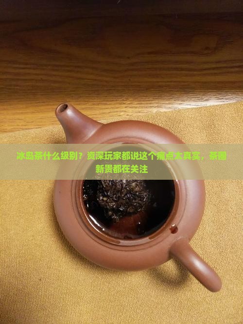 冰岛茶什么级别？资深玩家都说这个痛点太真实，茶圈新贵都在关注