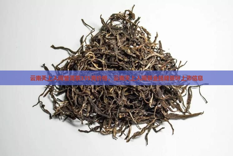 云南天上人间普洱茶375克价格，云南天上人间茶业挂牌茶叶上市信息