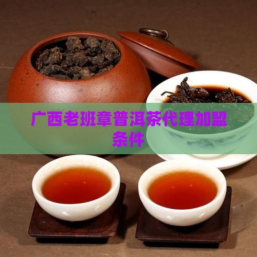 广西老班章普洱茶代理加盟条件