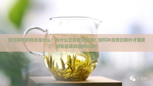 昔归茶叶的特点是什么？为什么它如此受欢迎？如何冲泡昔归茶叶才能更好地品味其独特风味？