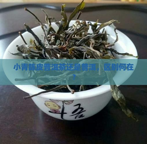 小青陈皮普洱茶还是普洱，区别何在？