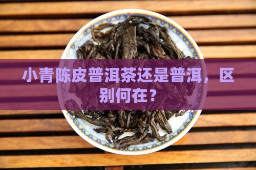 小青陈皮普洱茶还是普洱，区别何在？