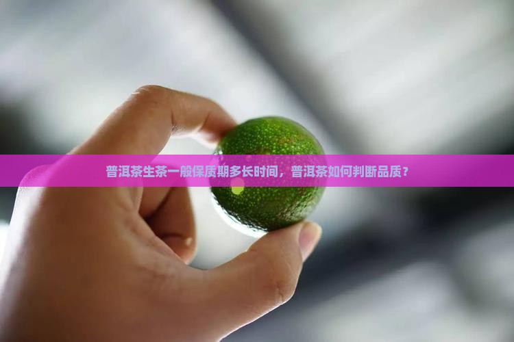 普洱茶生茶一般保质期多长时间，普洱茶如何判断品质？